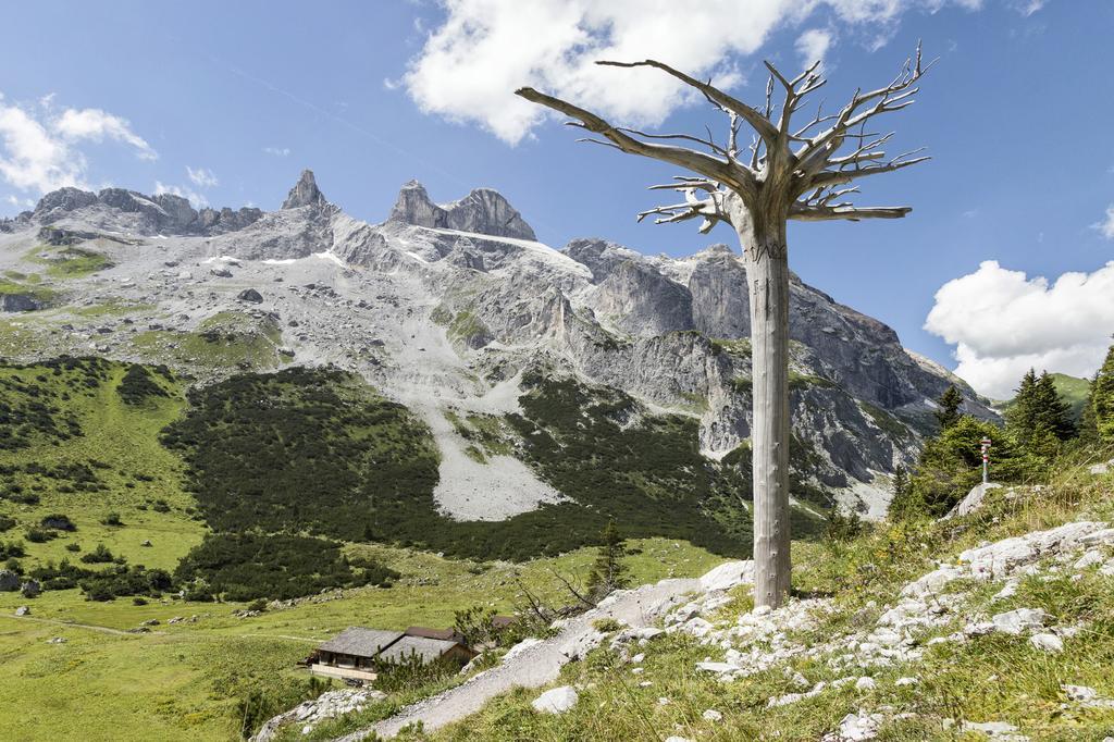 Berg-Spa & Hotel Zamangspitze Санкт Галенкирх Екстериор снимка